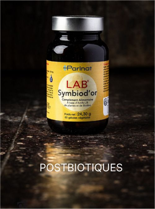 postbiotiques